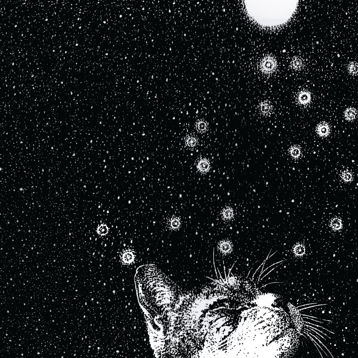 Constraints, not Rules: Creativity with Bob Hansman 