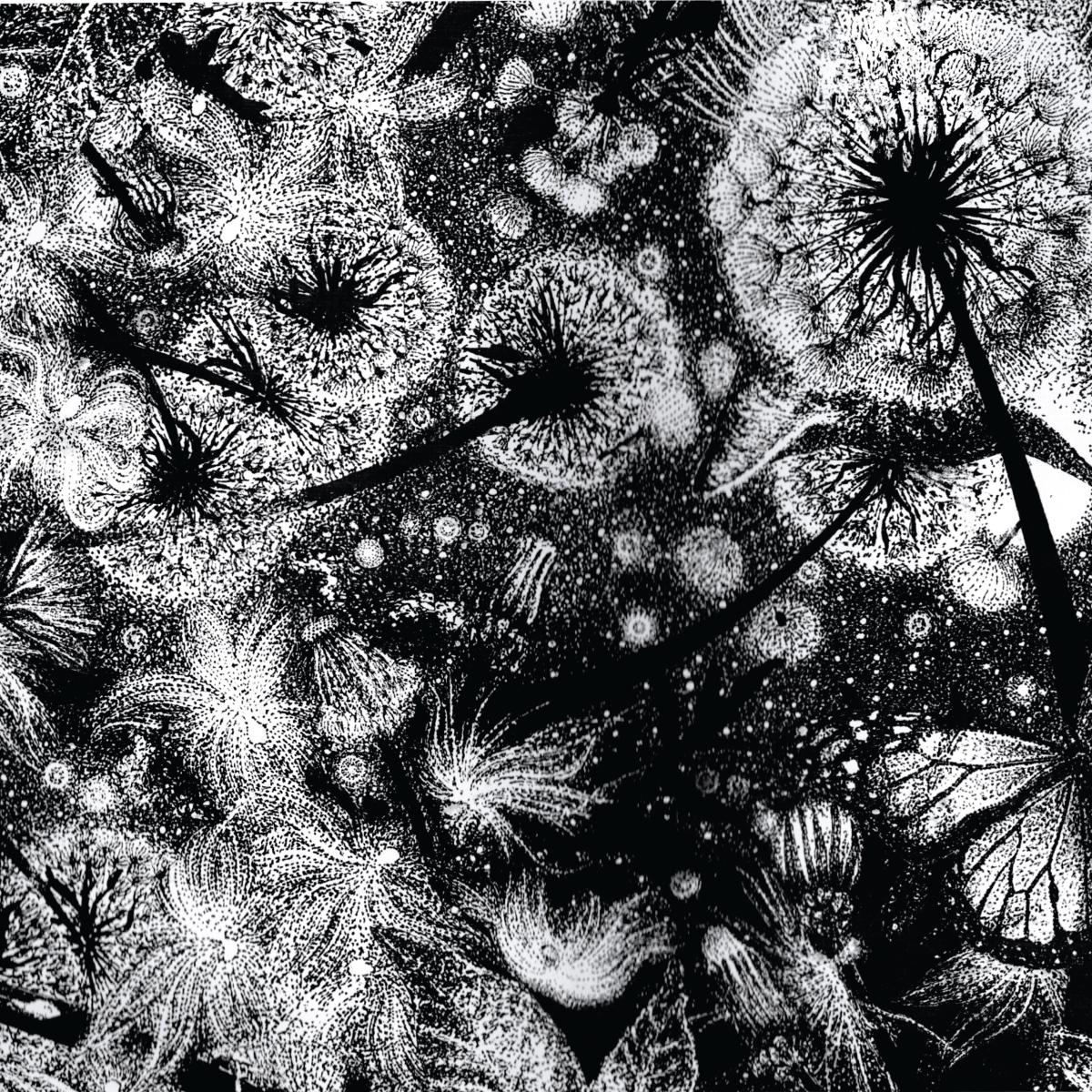 Where do ideas come from? 